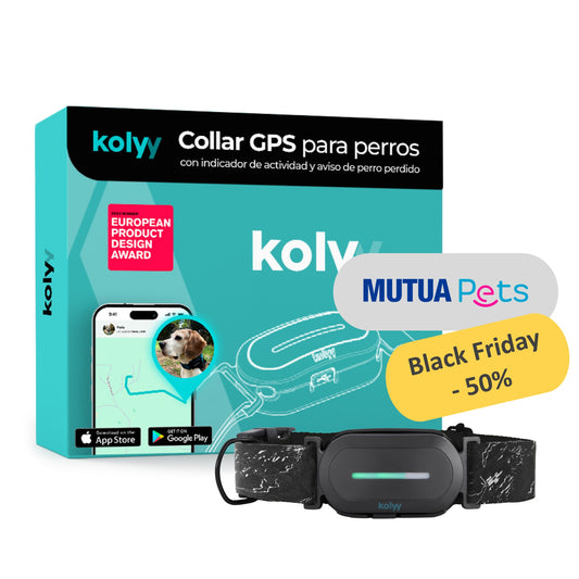 Collar GPS Kolyy | Edición exclusiva MutuaPets
