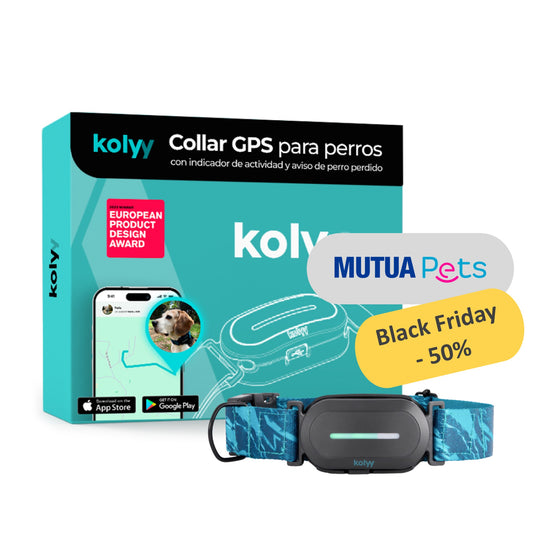 Collar GPS Kolyy  | Edición exclusiva MutuaPets
