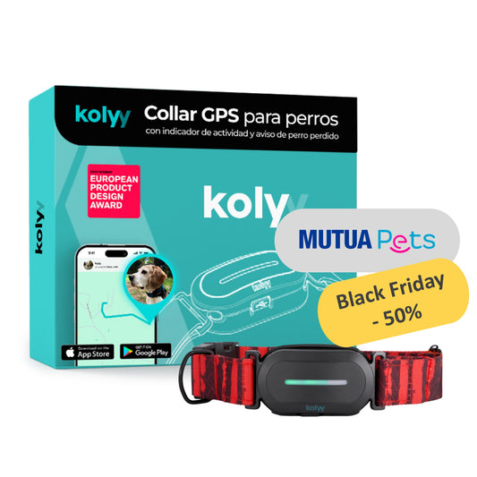 Collar GPS Kolyy | Edición exclusiva MutuaPets