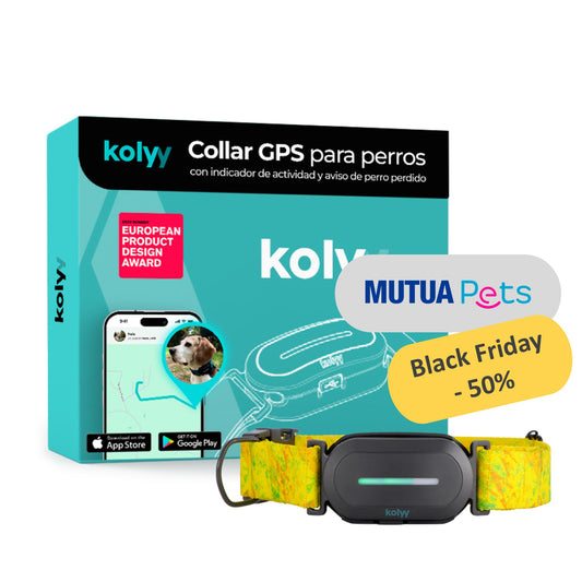 Collar GPS Kolyy | Edición exclusiva MutuaPets